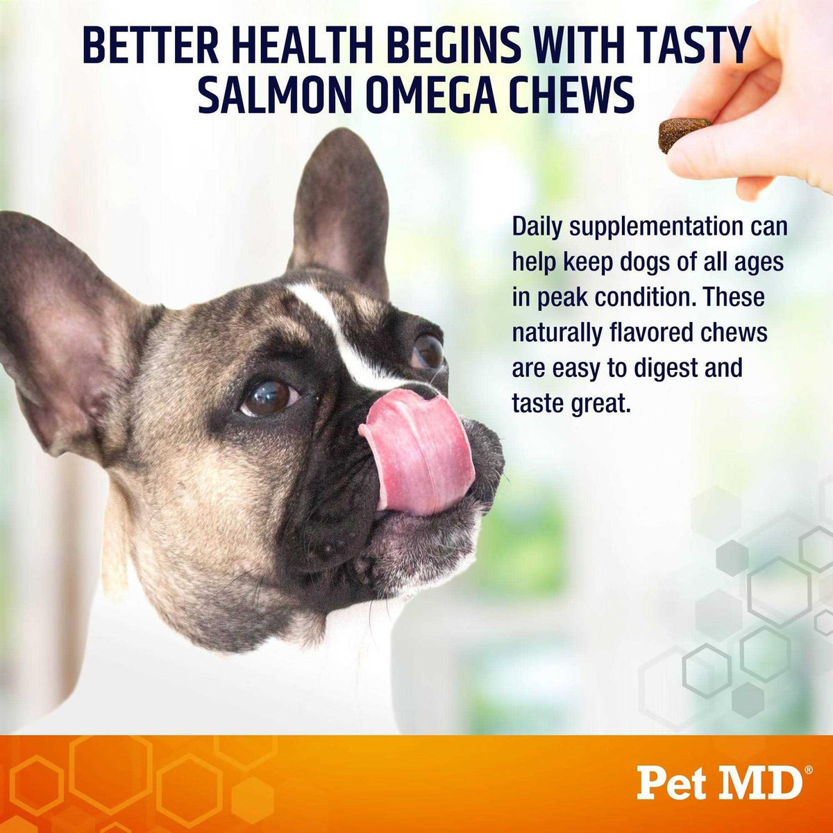 Salmon Omega Soft Chew Bites for Dogs 120ct I598