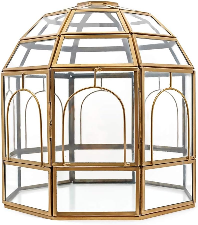Large Glass Terrarium 10 x 9 x 9 Brass T216
