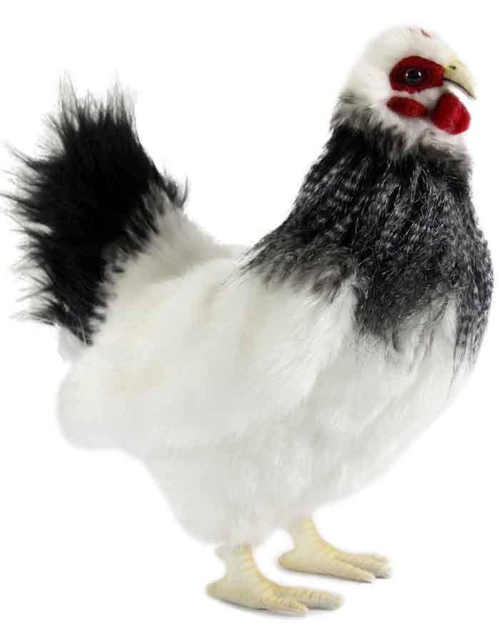 Black and White French Hen Plush V8685
