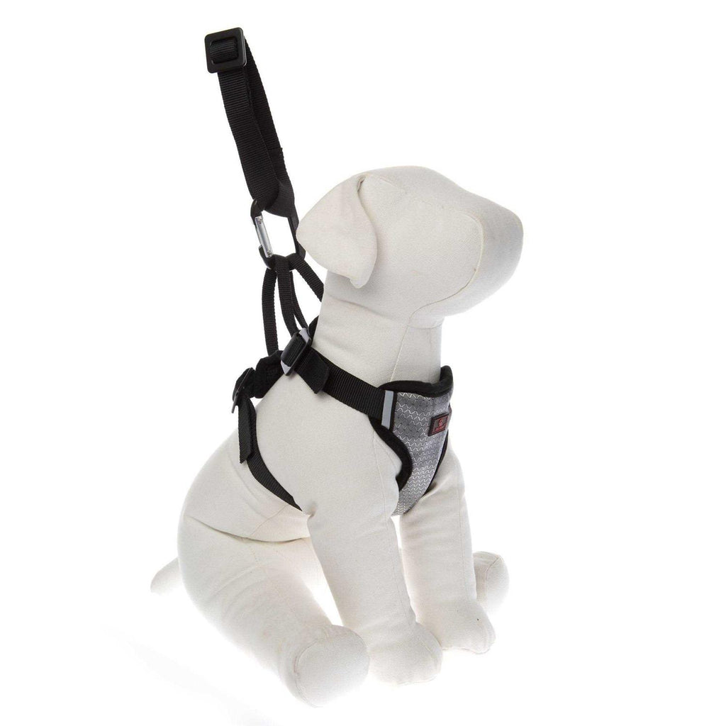 Dog Travel Harness V819