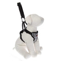 Dog Travel Harness V819