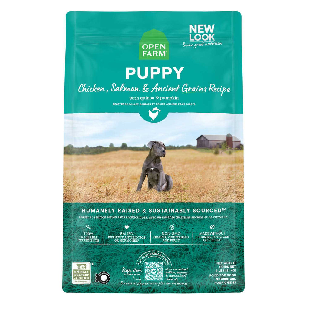 Pasture Raised Lamb Ancient Grains Dry Dog Food C541679