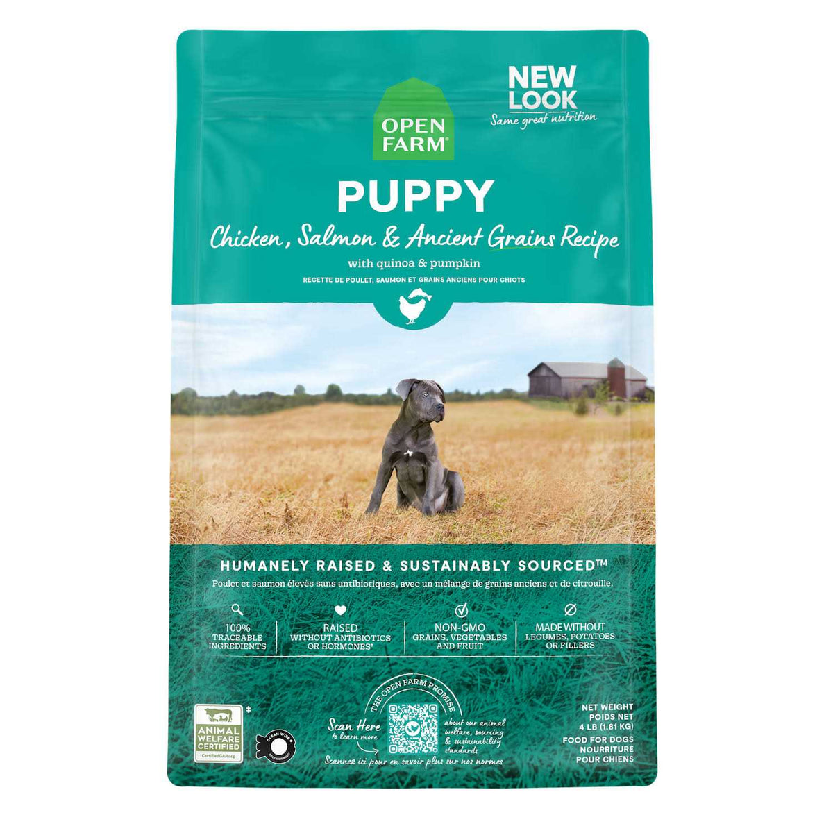 Pasture Raised Lamb Ancient Grains Dry Dog Food C541679