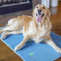 Cool Pet Pad D153885