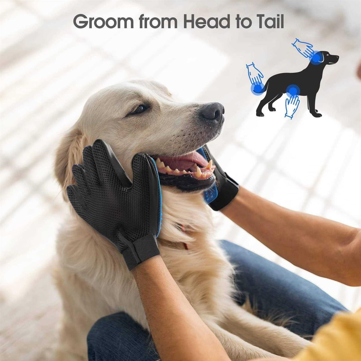 Pet Grooming Glove X665629