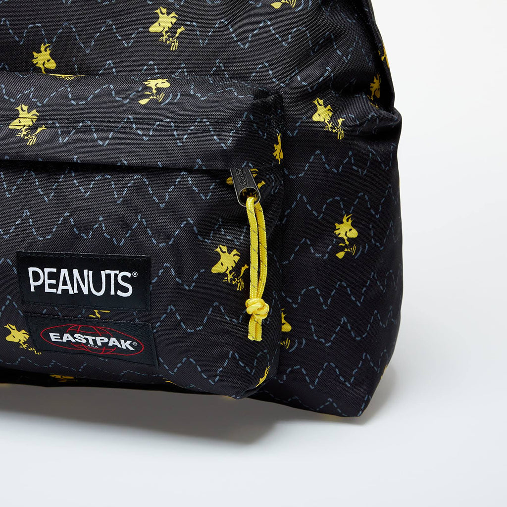 Padded Pak R Backpack J79621
