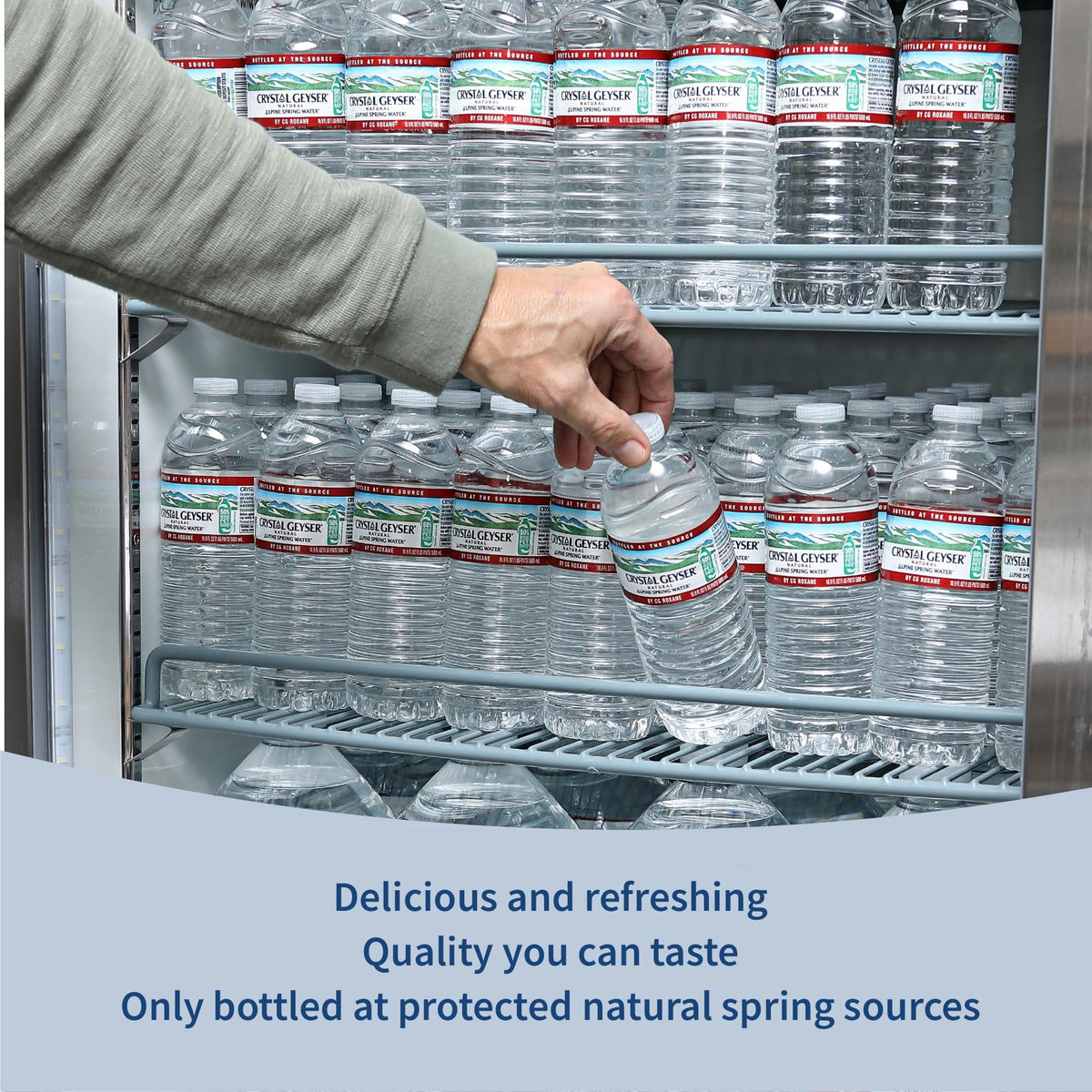 Natural Alpine Spring Water 16.9 Fl Oz (pack of 6) P595