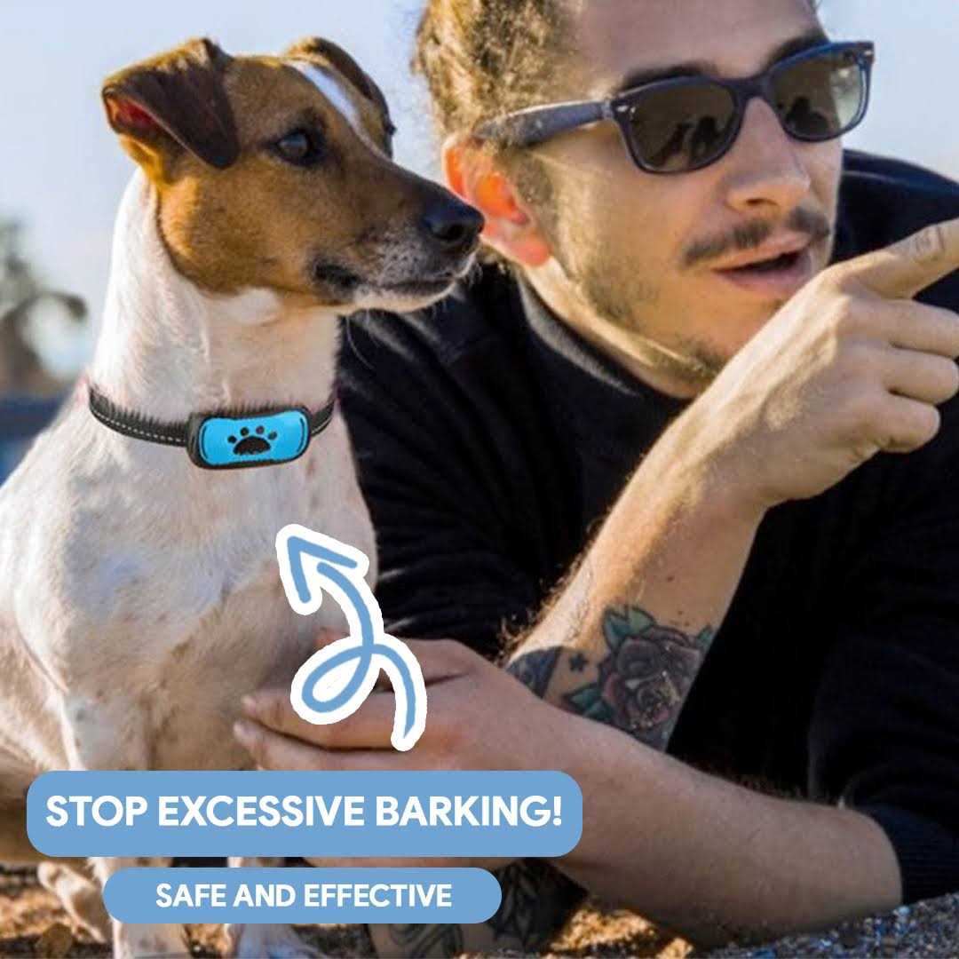 Anti-Bark Collar for Dogs T659883