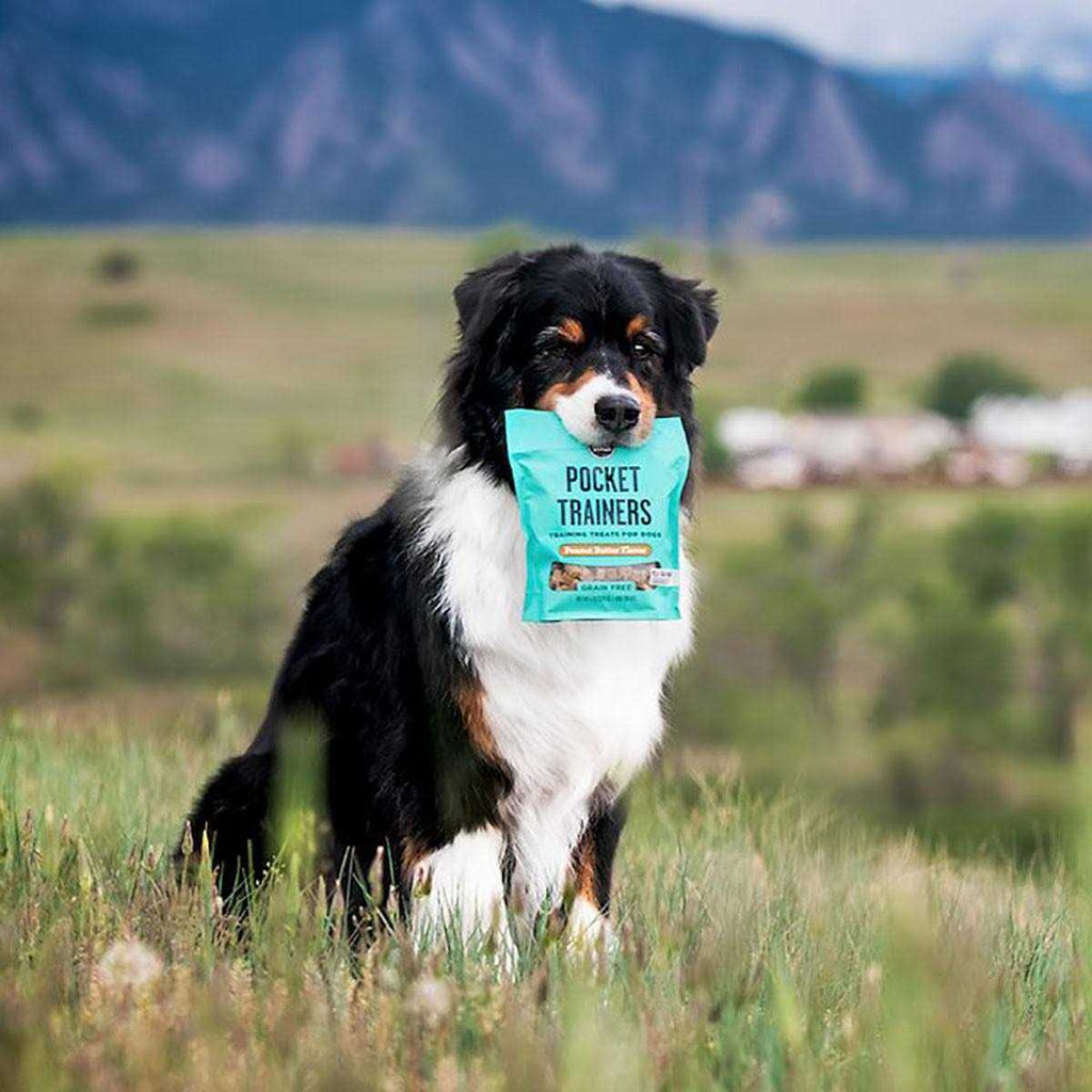 Dog Treats E22790