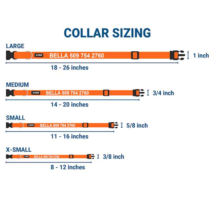 Nylon Personalized Dog Collar J5958