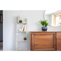 White Wash Wooden Decorative Ladder T23375