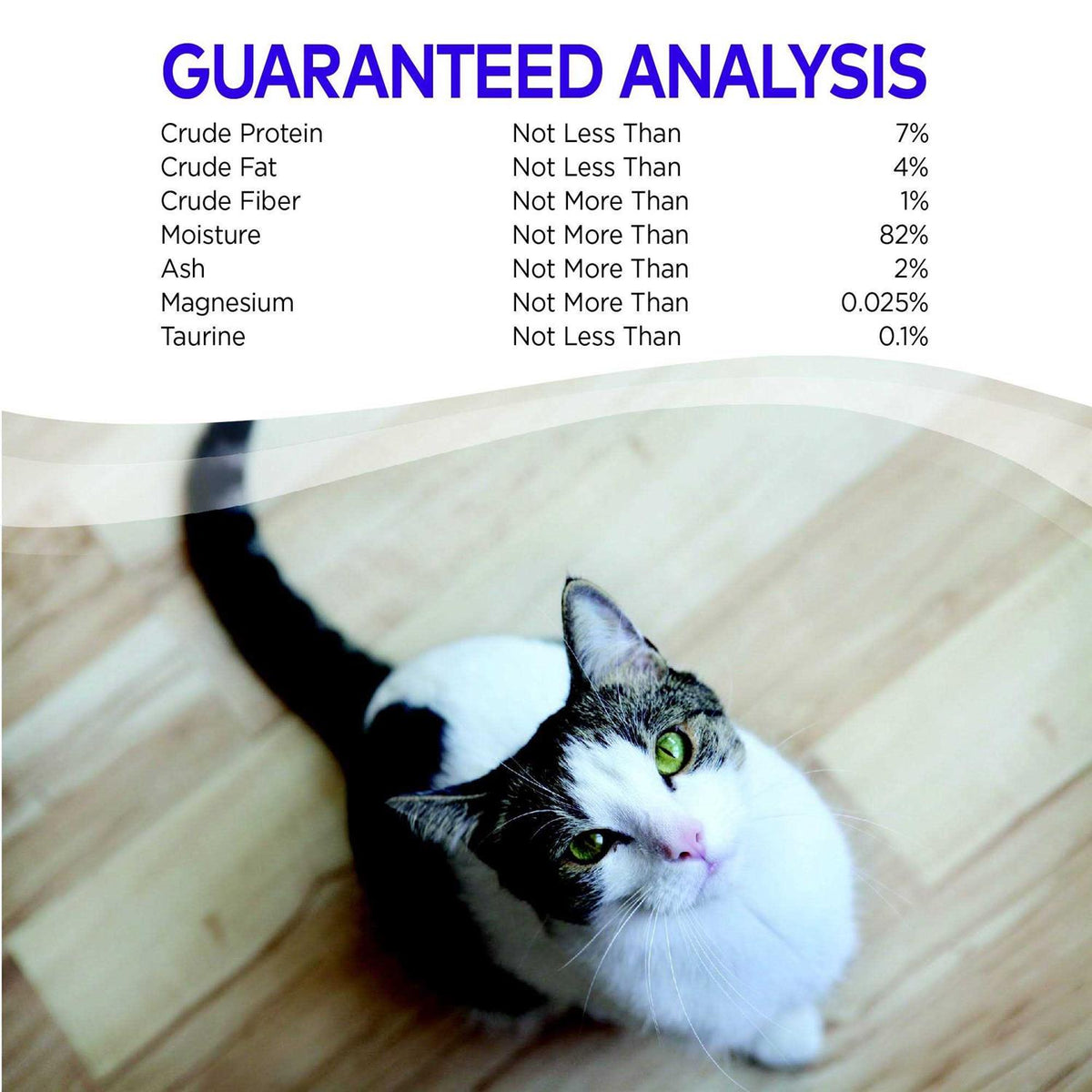 Cat Food N54537