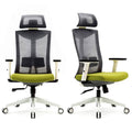 Ergonomic Office Chair with Lumbar Support Gray P240872