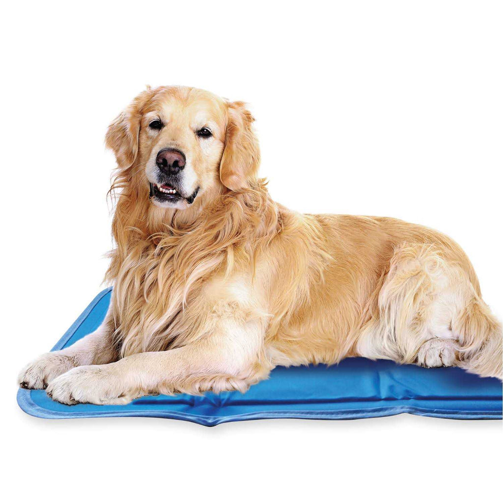 Cool Pet Pad D153885