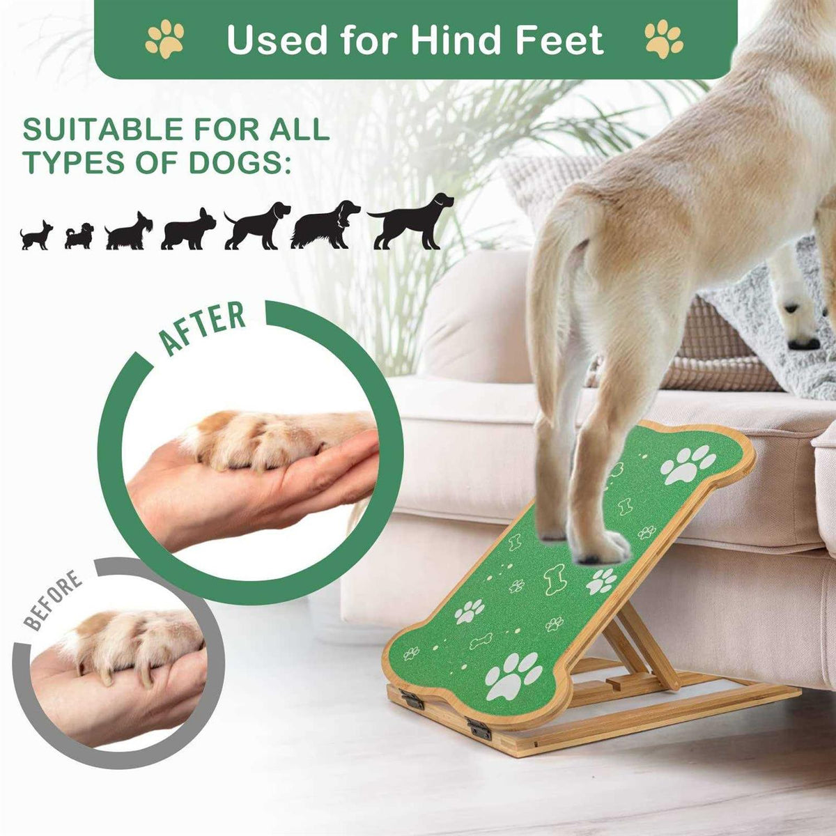 Dog Nail Scratch Board Z16149