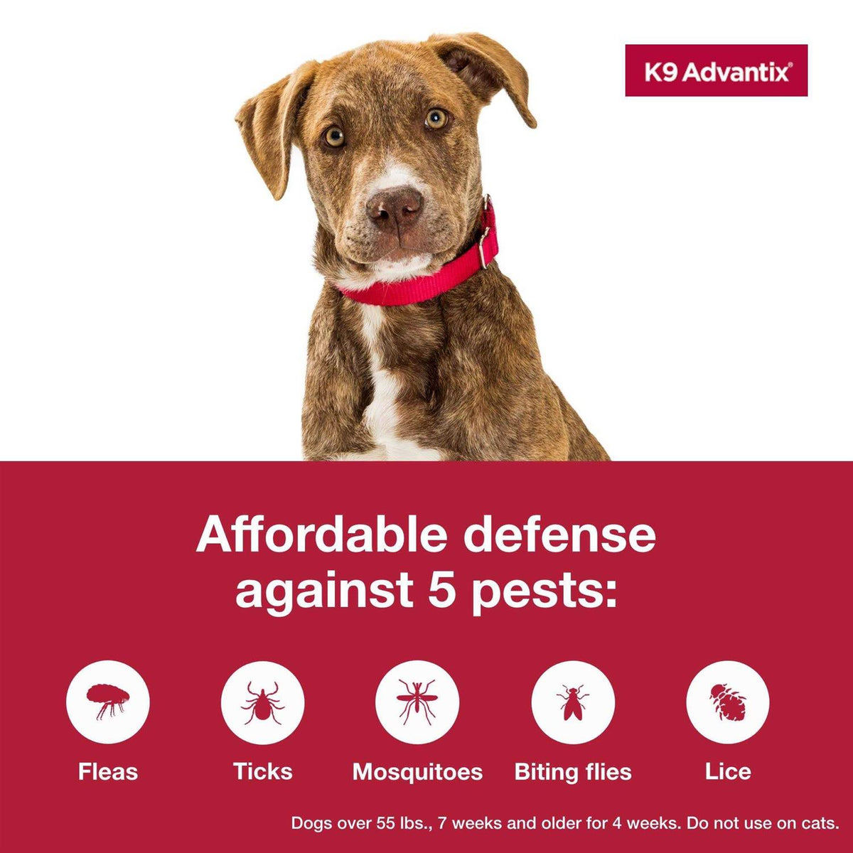 Flea Tick Mosquito Prevention for Extra Large Dogs M6774