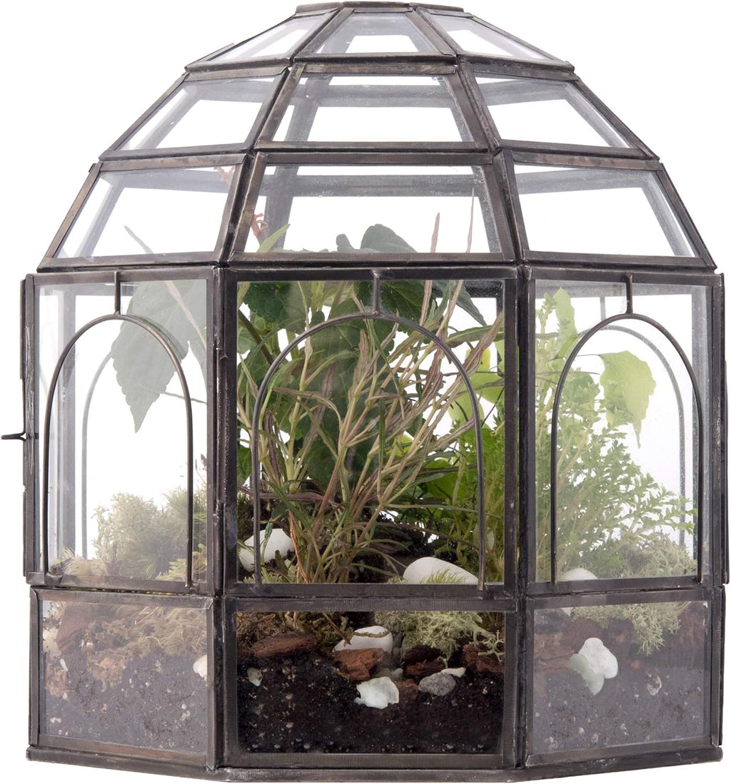 Large Glass Terrarium 10 x 9 x 9 Brass T216