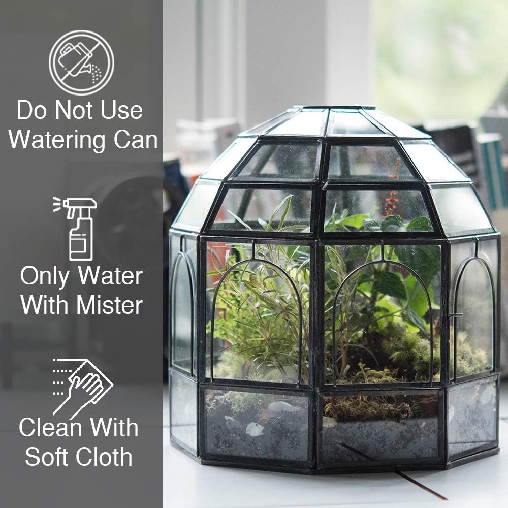 Large Glass Terrarium 10 x 9 x 9 Brass T216