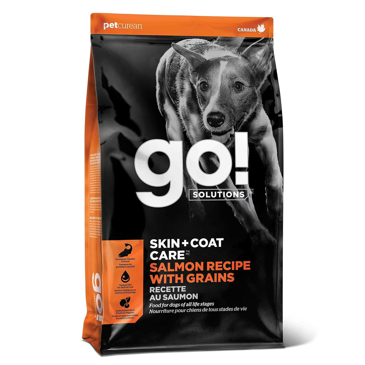 Salmon Recipe Dry Dog Food P680