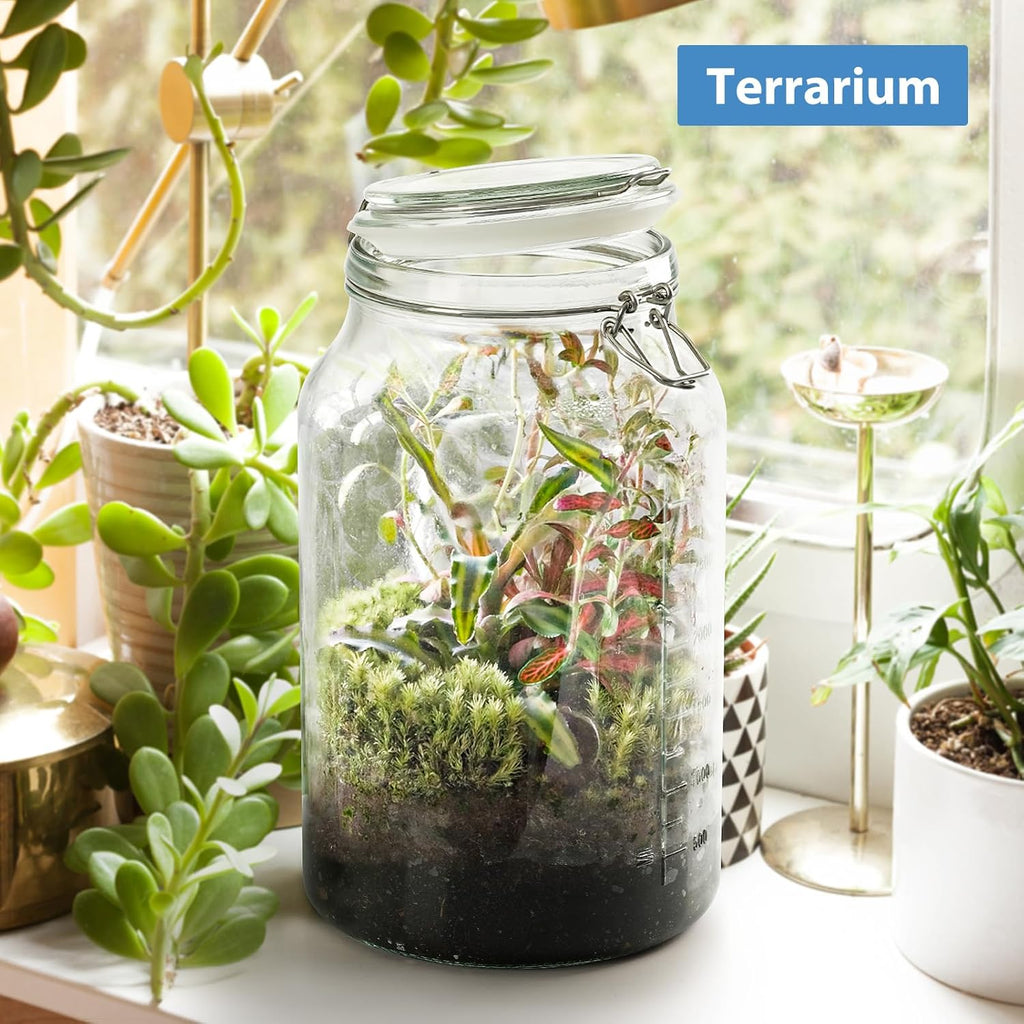 2 Pack 1 Gallon Glass Storage Jars with Airtight Lids P5926