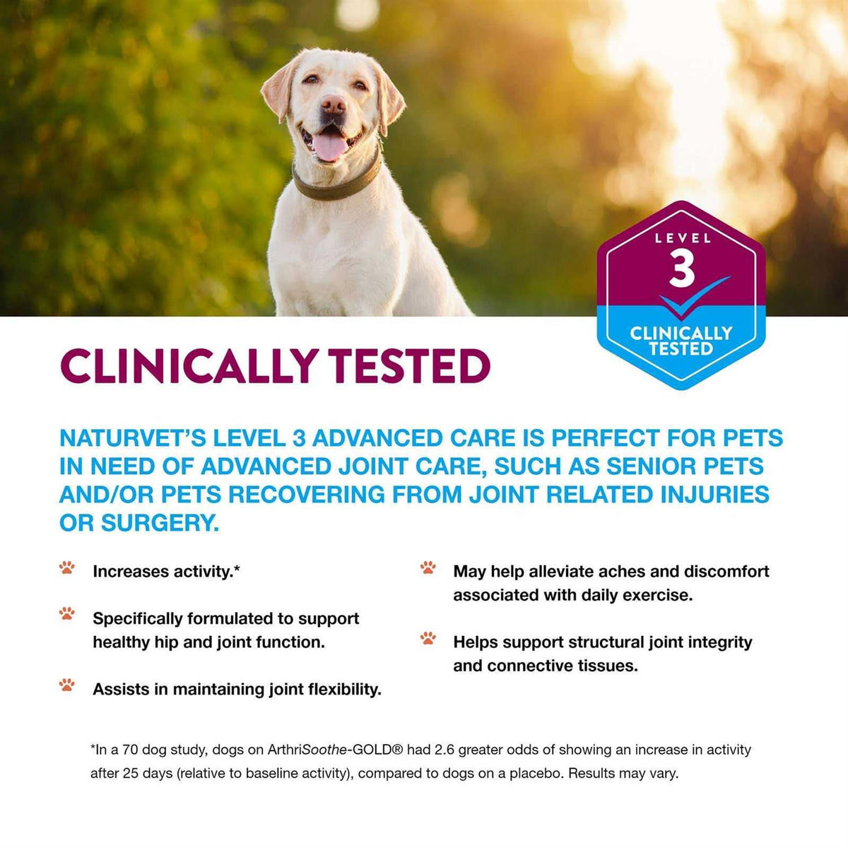 Advanced Care Soft Chews A26699