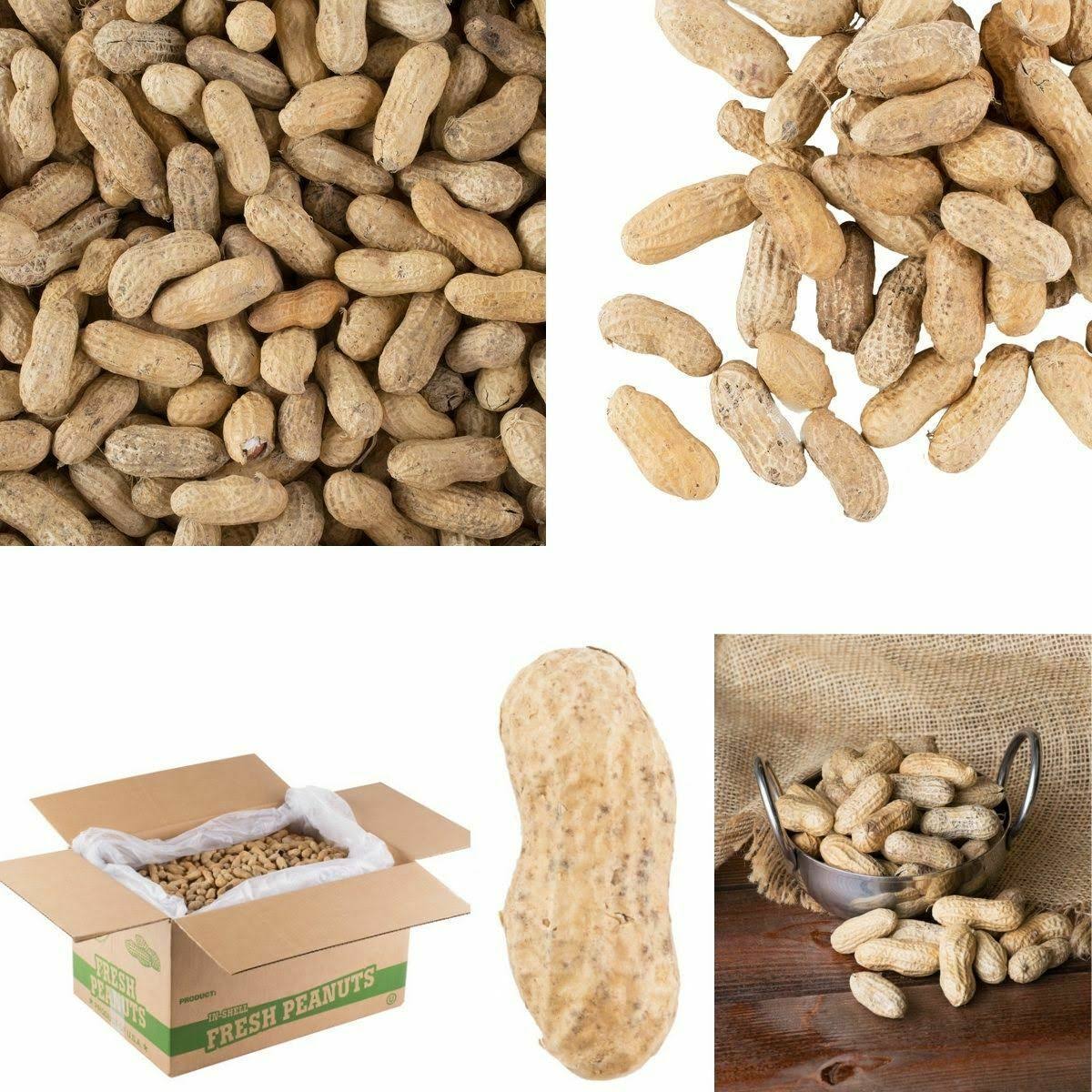25 lb. Roasted Unsalted In-Shell Peanuts O543