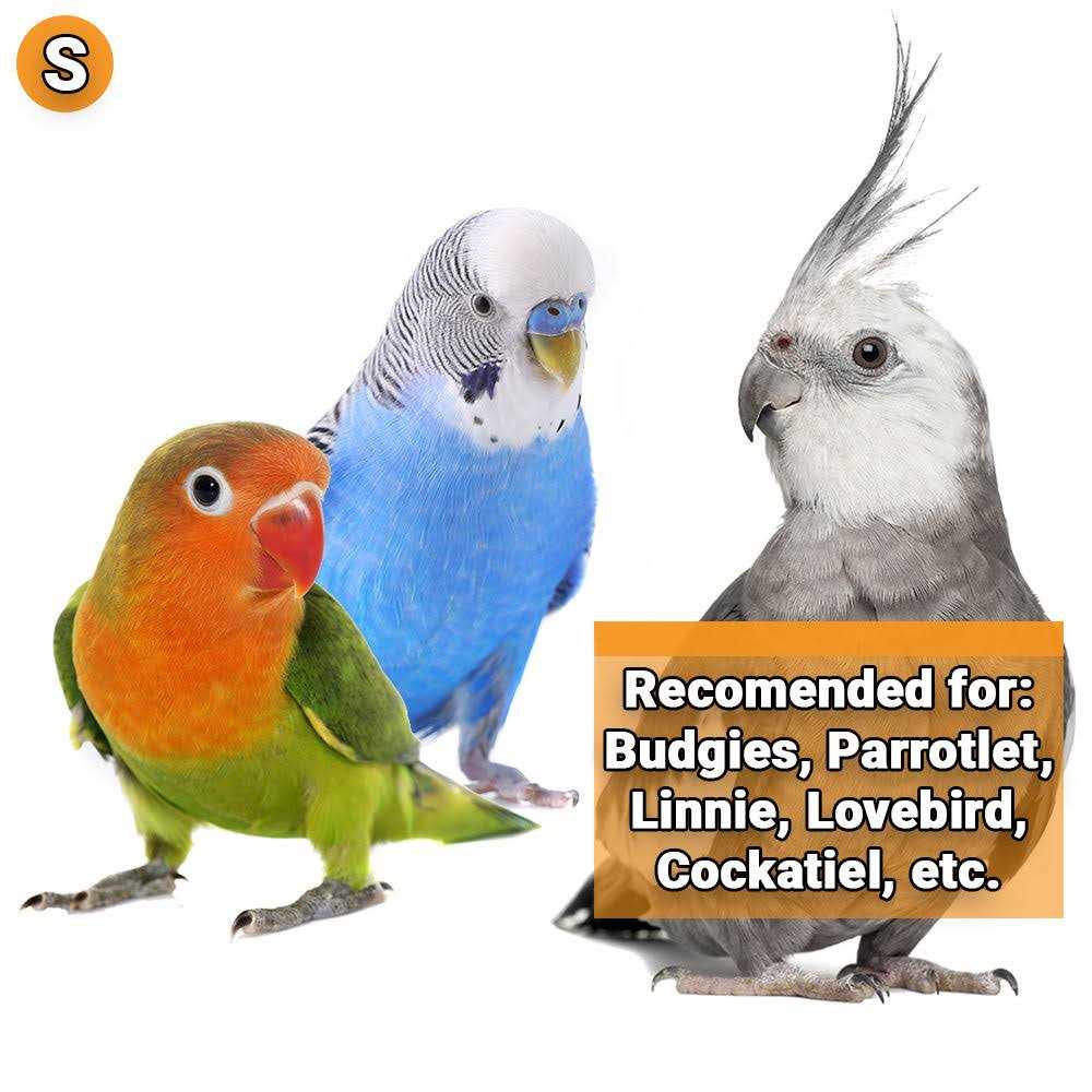 Comfy Perch I48191