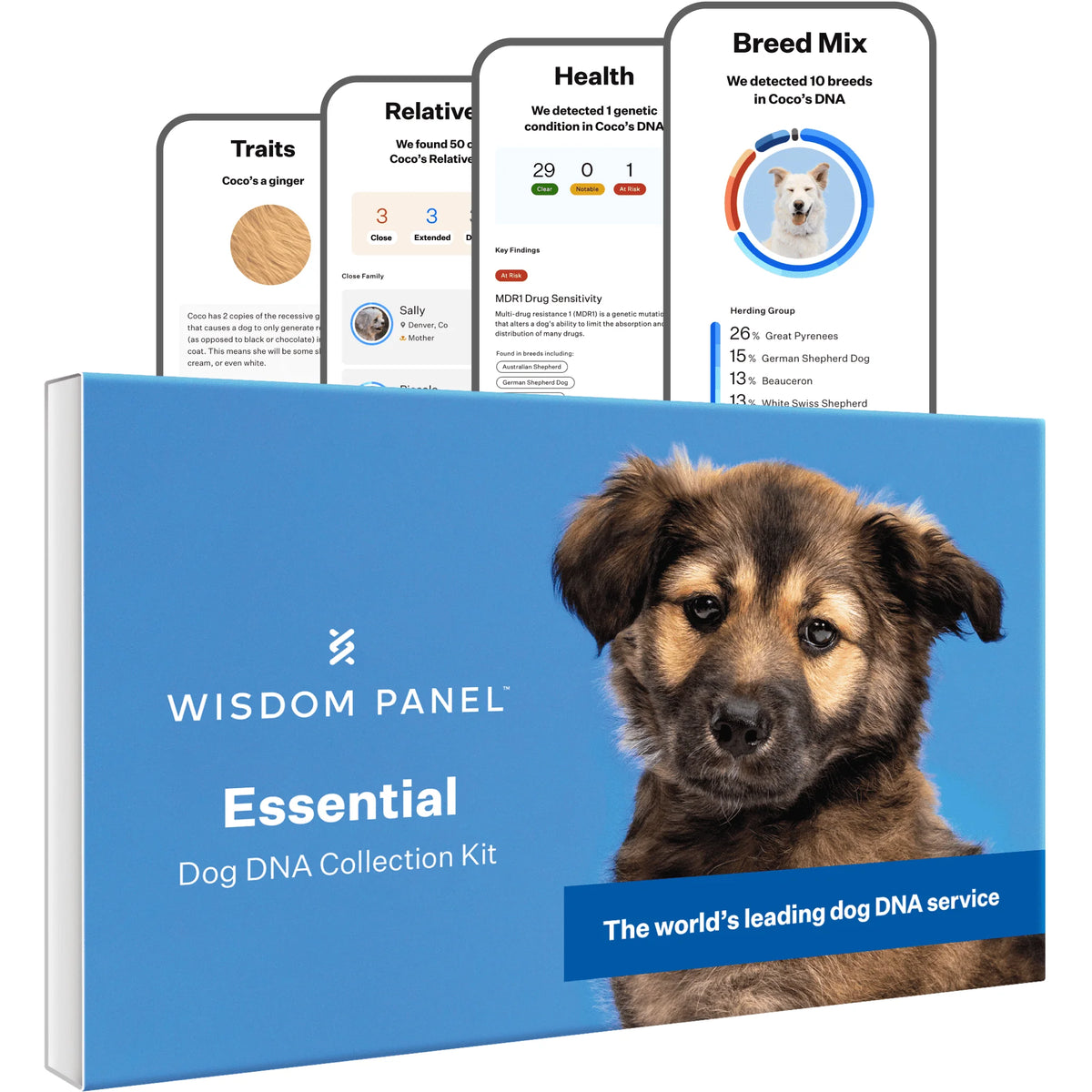 Dog DNA Test Kit Q43396