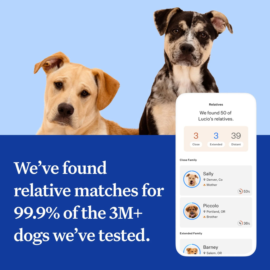 Dog DNA Test Kit Q43396