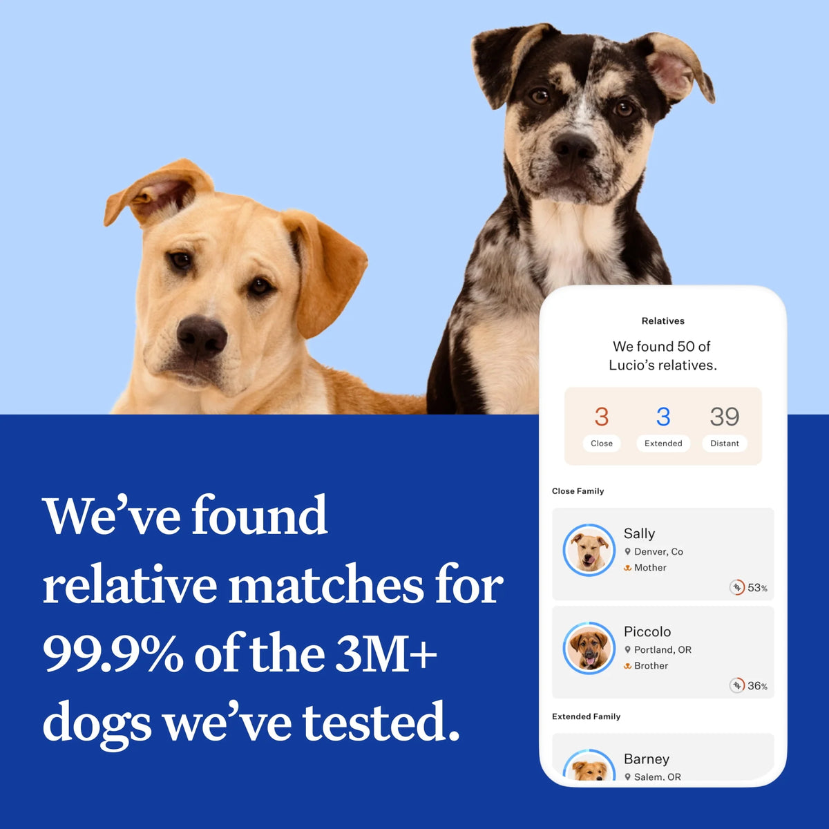 Dog DNA Test Kit Q43396