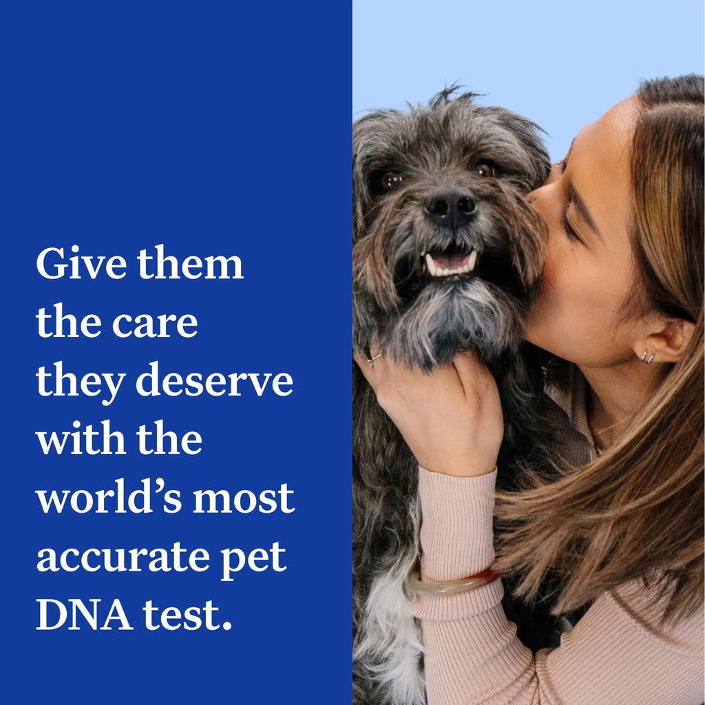 Dog DNA Test Kit Q43396