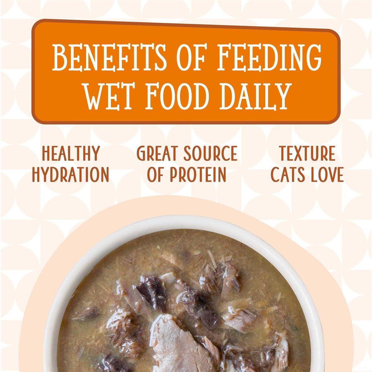 Wet Cat Food Pouches R4884