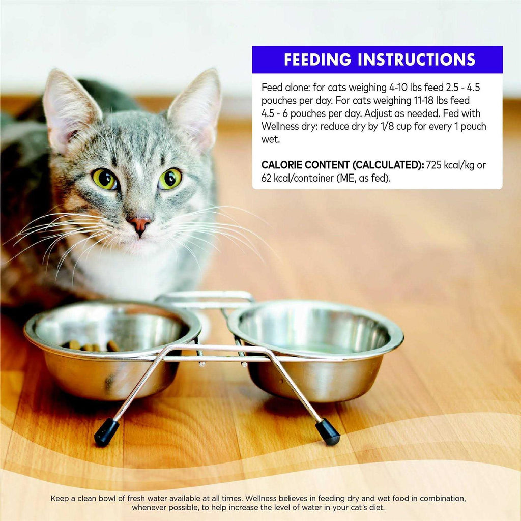 Cat Food N54537