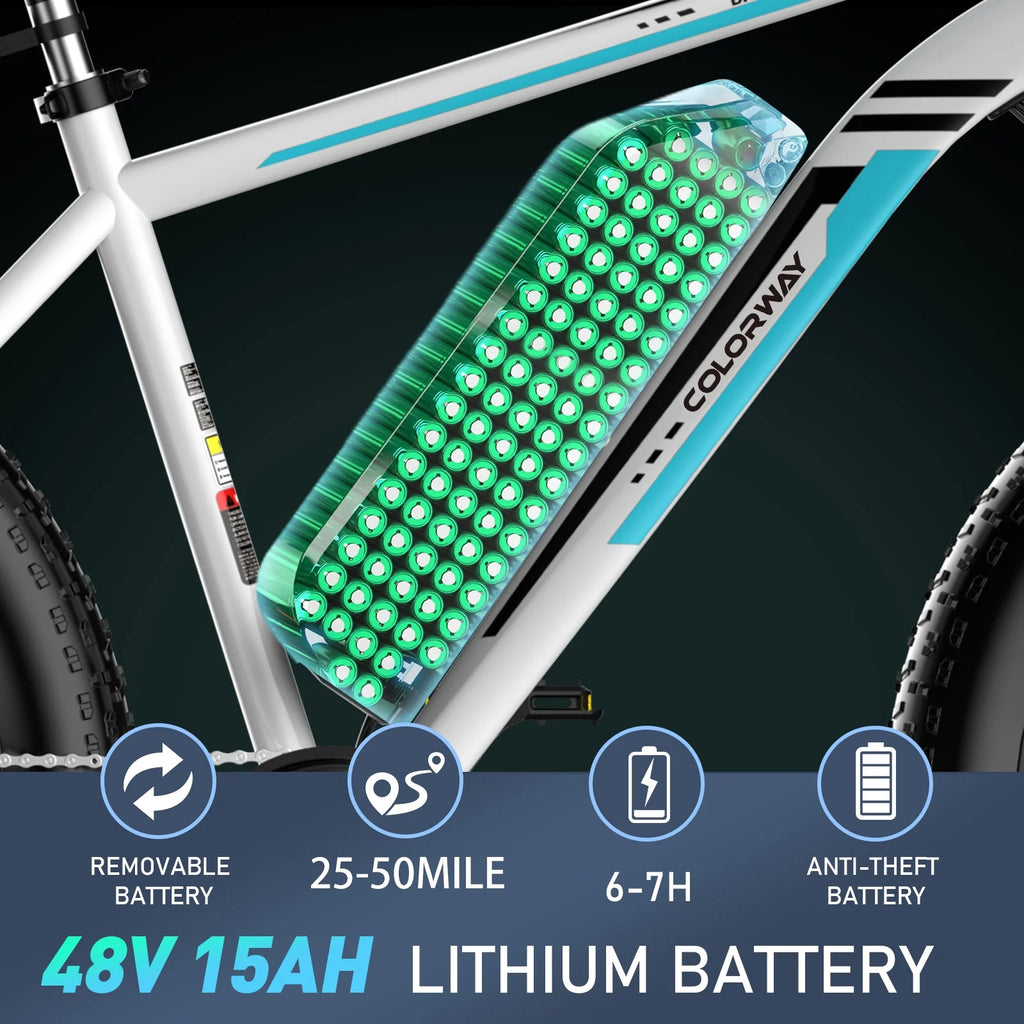 Fat Tire 750W 15AH 48V Electric Bike Q460