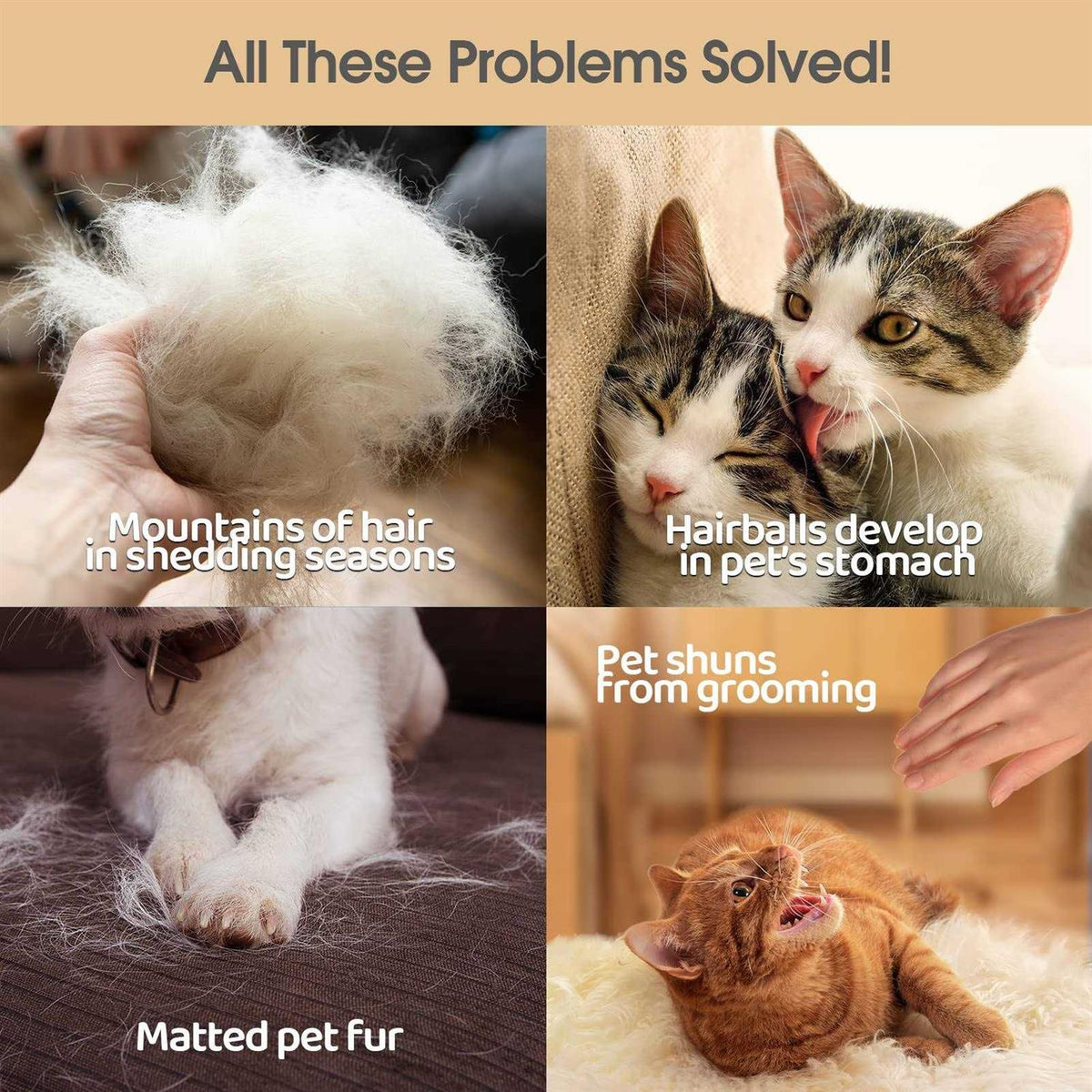 Pet Grooming Glove X665629
