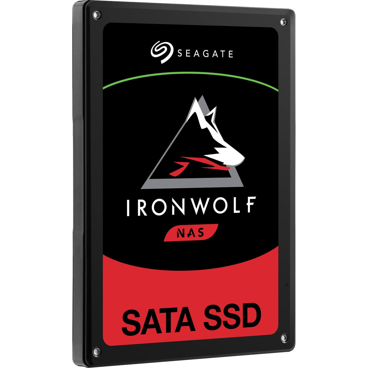 480GB SATA Internal Solid State Drive P124