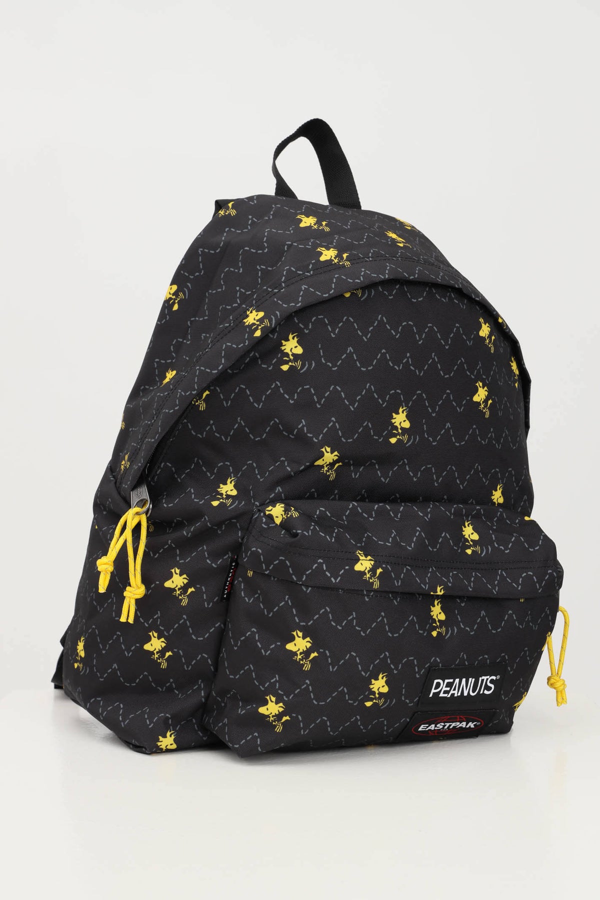 Padded Pak R Backpack J79621