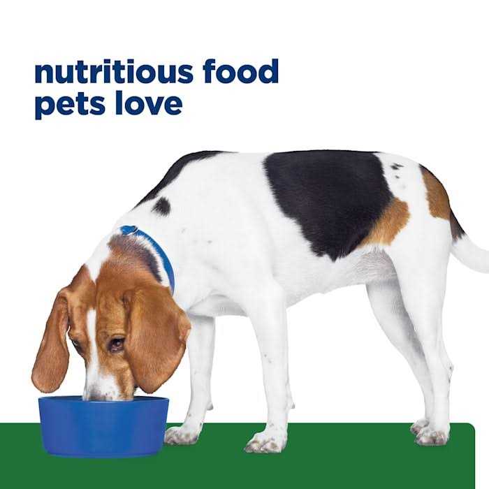 Chicken Flavor Dry Dog Food A2590
