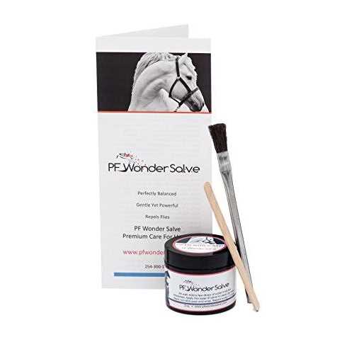 2 oz. Equine Wound Paste N91778