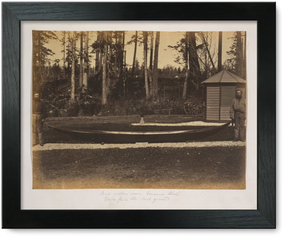 Framed Print: Small Northern Canoe, Vancouver Island - Douglas Firs X365