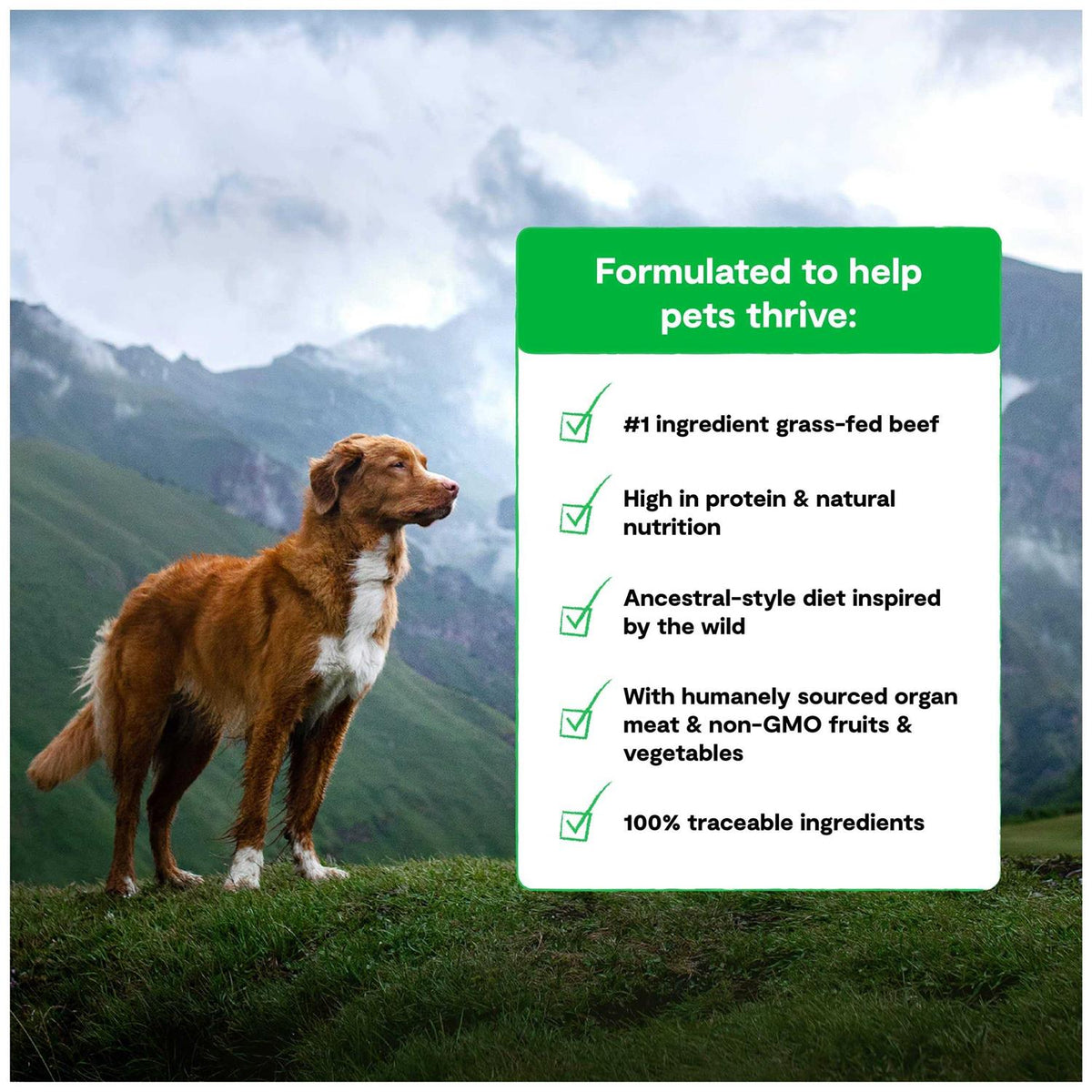 Grain Free Dog Food L463945