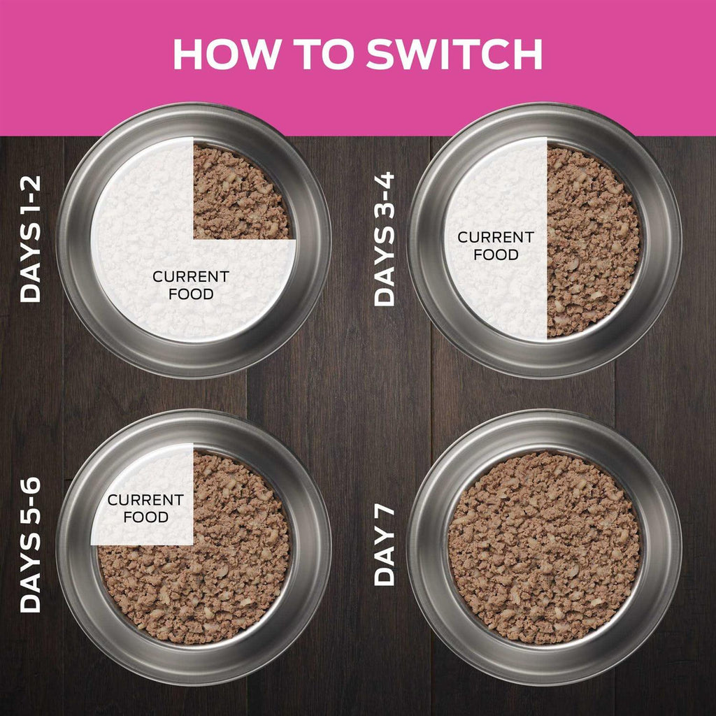 Wet Dog Food R123