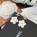 Earrings Q89594
