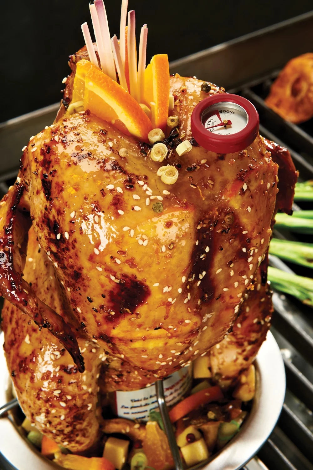 Stainless Steel Chicken Roaster R5923