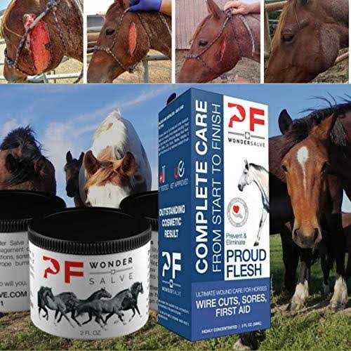 2 oz. Equine Wound Paste N91778