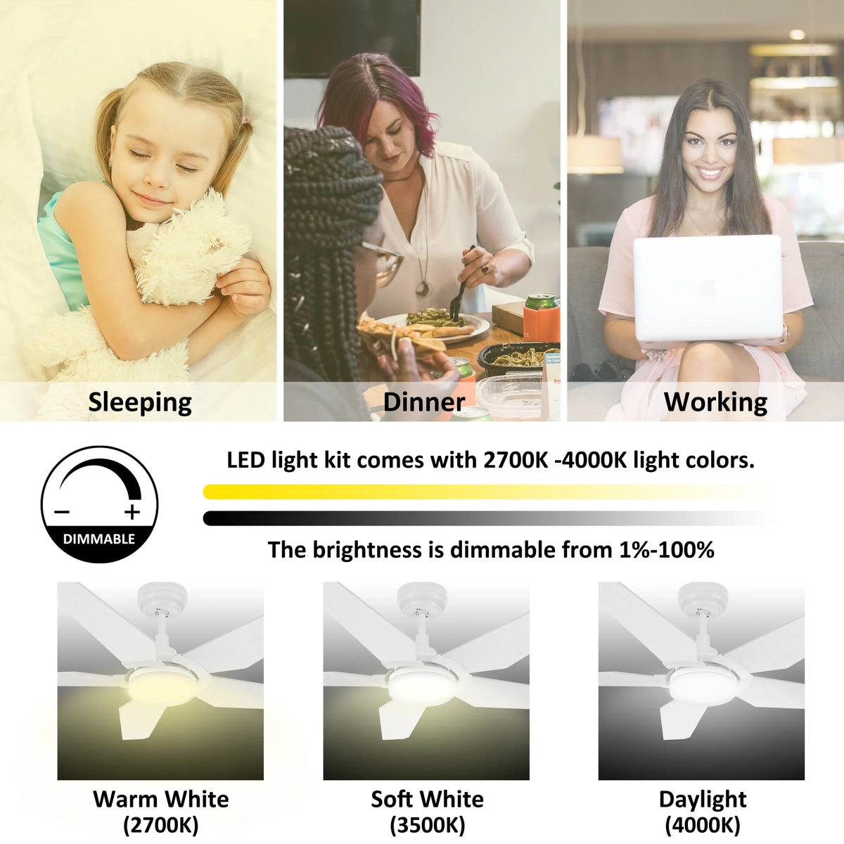 52-inch Indoor/Outdoor Smart Ceiling Fan with LED Light Kit & Remote D455
