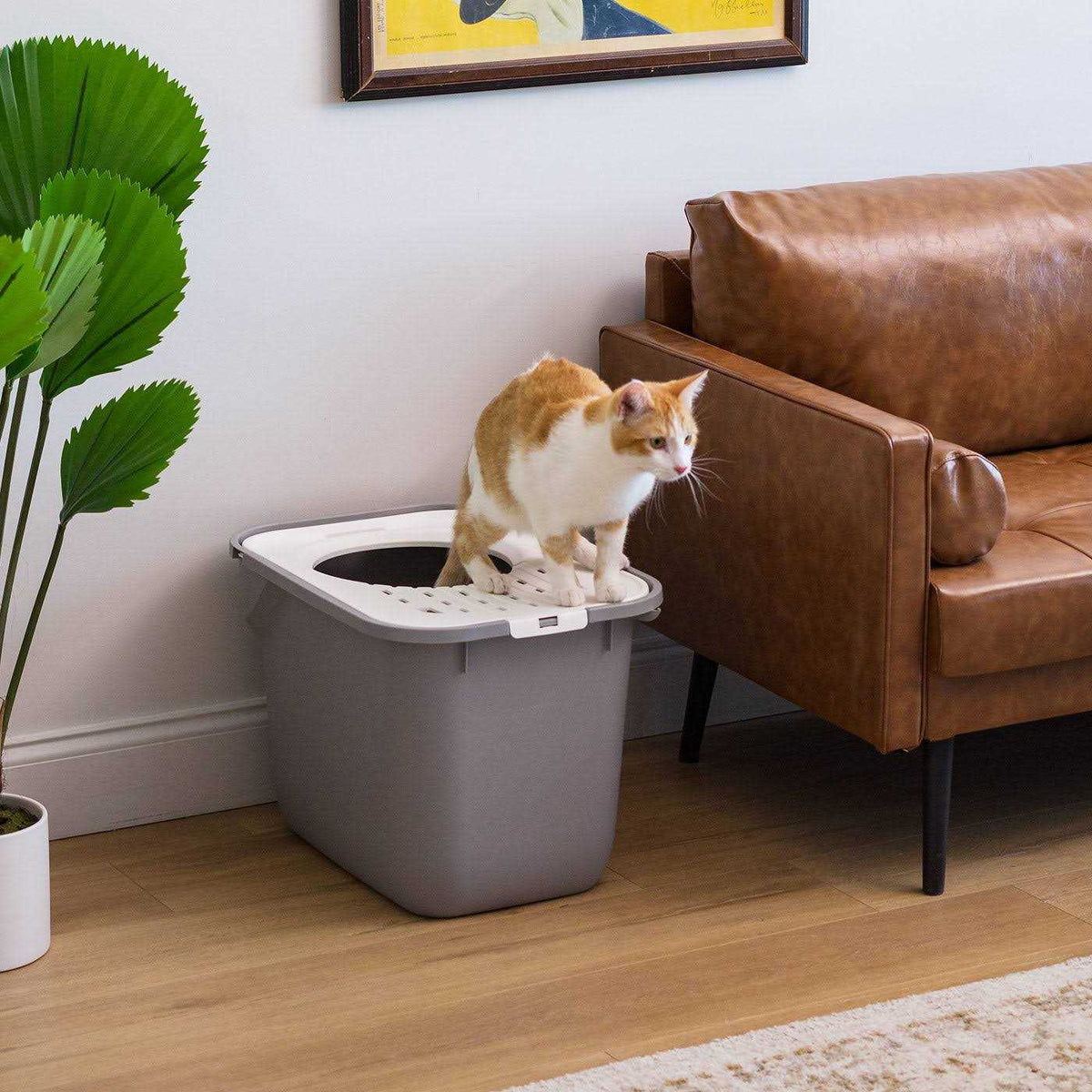 Top Entry Cat Litter Box A545