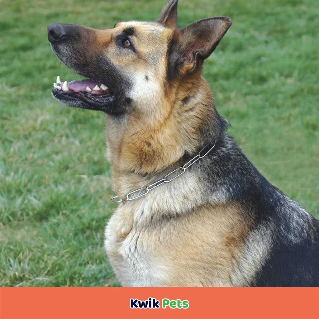 Fur Saver Link Chain Training Dog Collar M16824