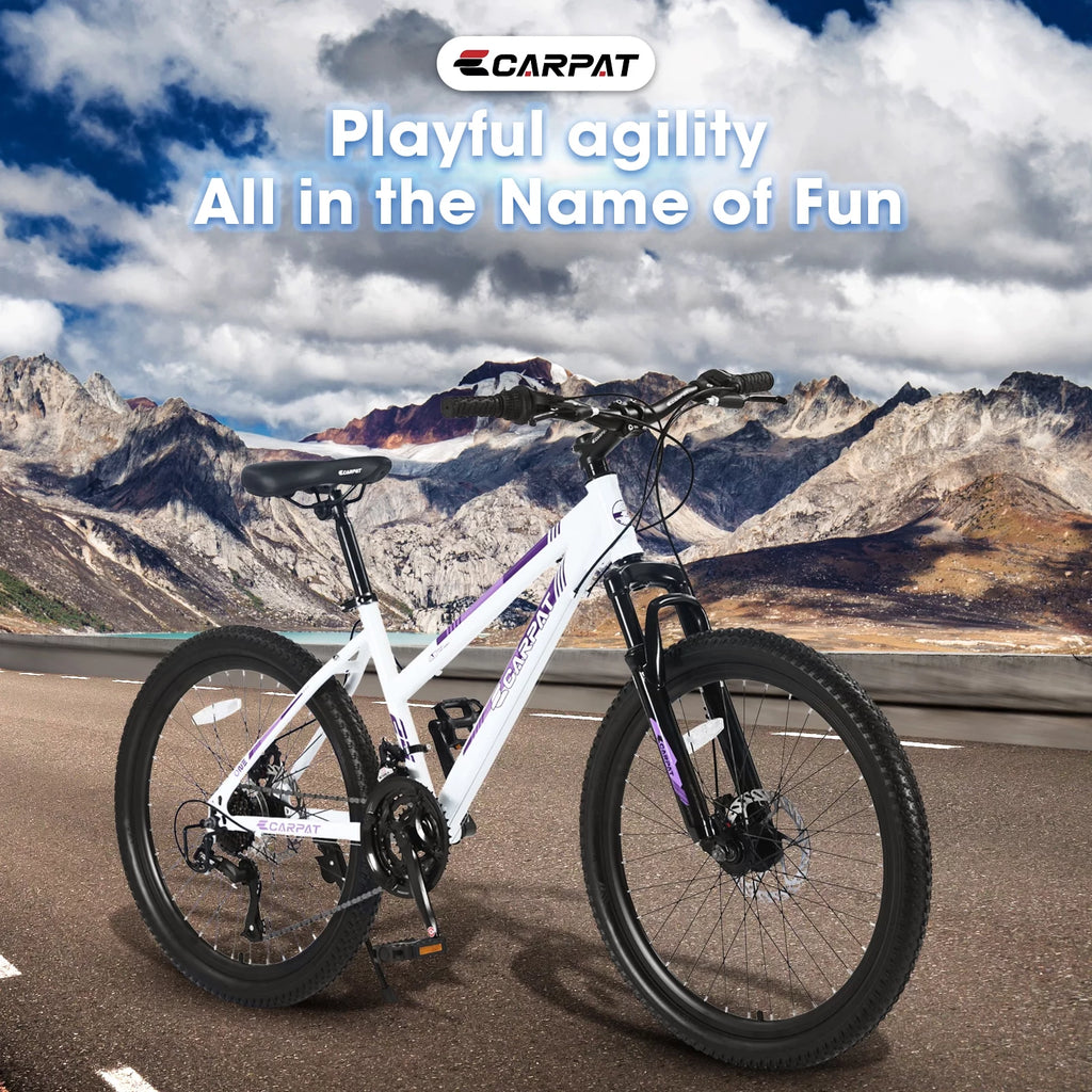 24 inch 21 Speeds Mountain Bike H286894