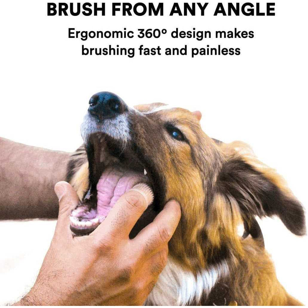 Dog Toothbrush E485507